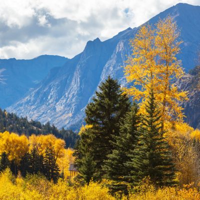 Autumn in Colorado Colorful yellow autumn in Colorado, United States. Fall season.